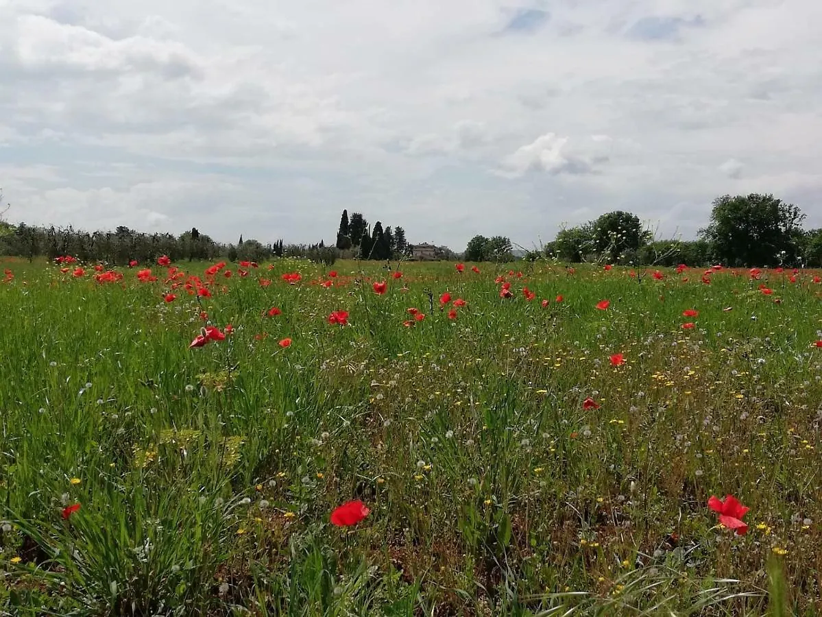 Il Fienile Nella Roccia Guest House Casole d'Elsa Italy
