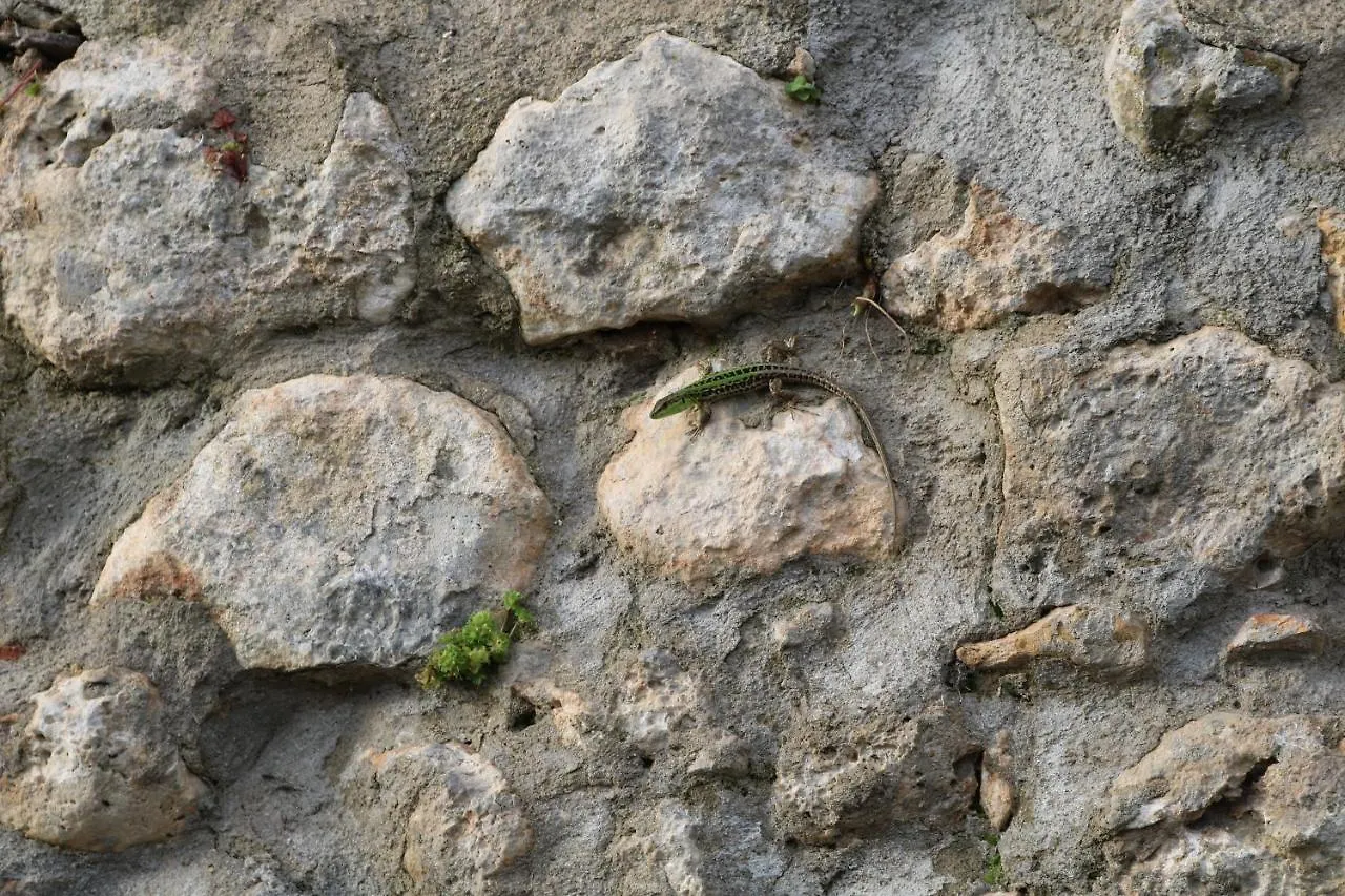 Penzion Il Fienile Nella Roccia Casole dʼElsa 0*,  Itálie